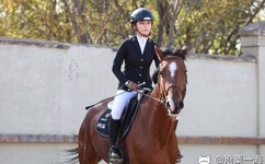 乱VODAFONEWIFI熟女